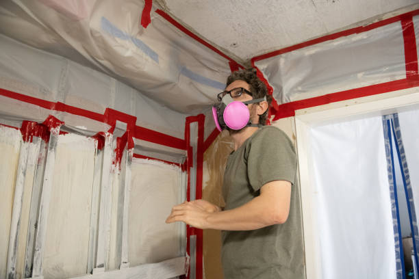 Mold Removal for HVAC Installations in Panama City, FL